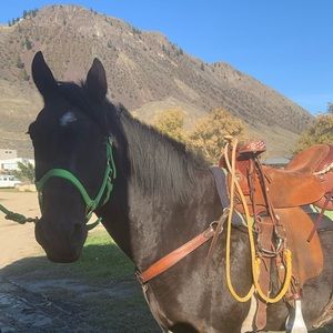 Meet your Posher, Teralynn